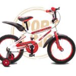 دوچرخه دنیر16